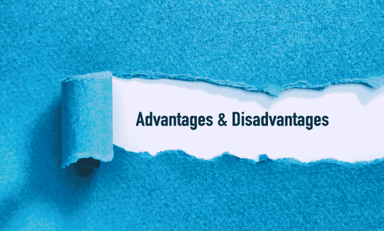 Advantage and Disadvantages of Owning a Business