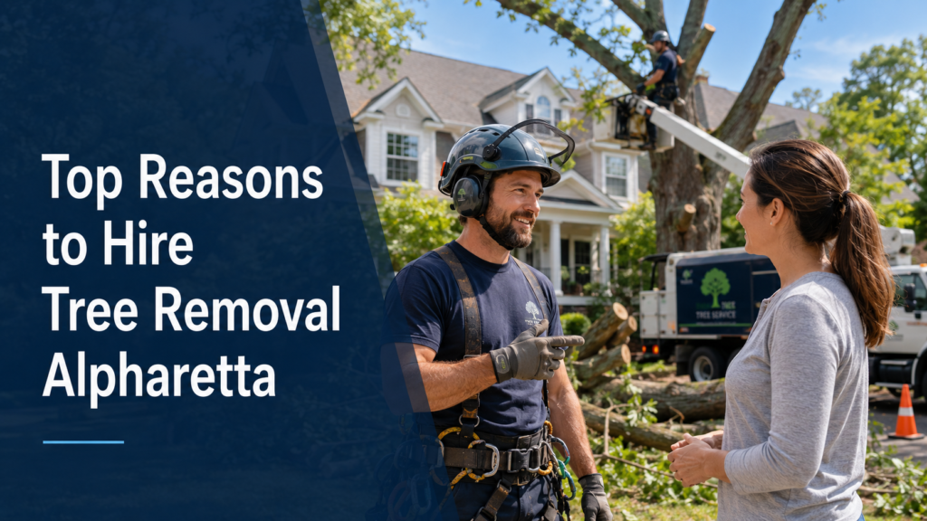 Top reasons to hire tree service