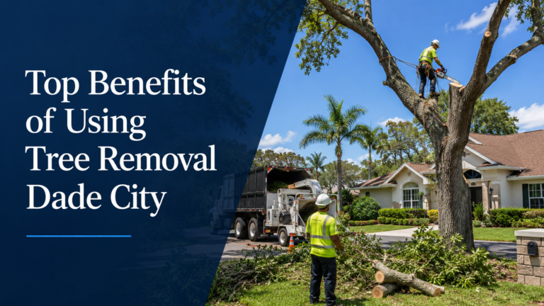 Tree removal services in Dade City